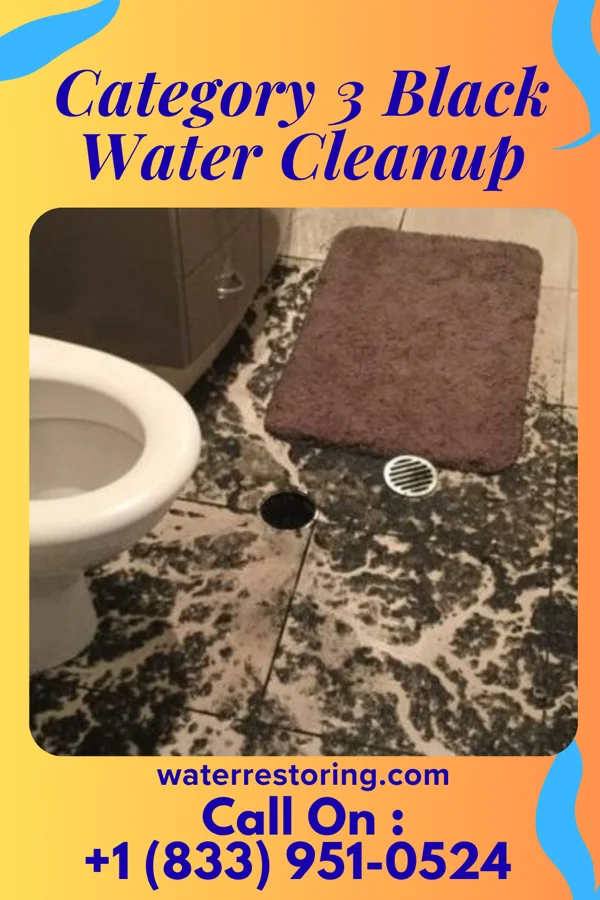 Category 3 Black Water Cleanup in Princeton, NJ