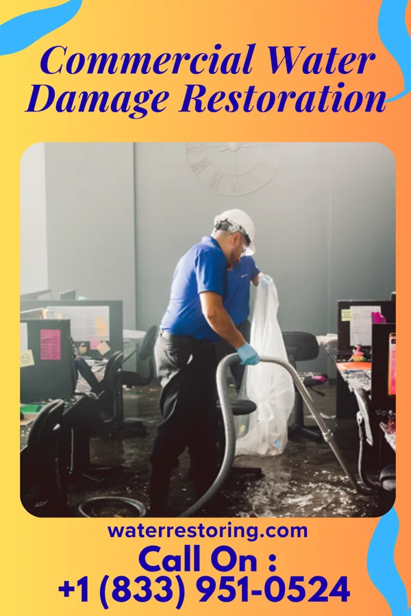 Commercial Water Damage Restoration in Princeton, NJ