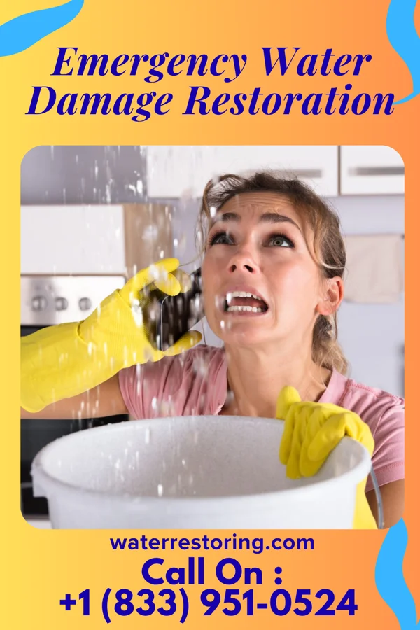Emergency Water Damage Restoration in Princeton, NJ