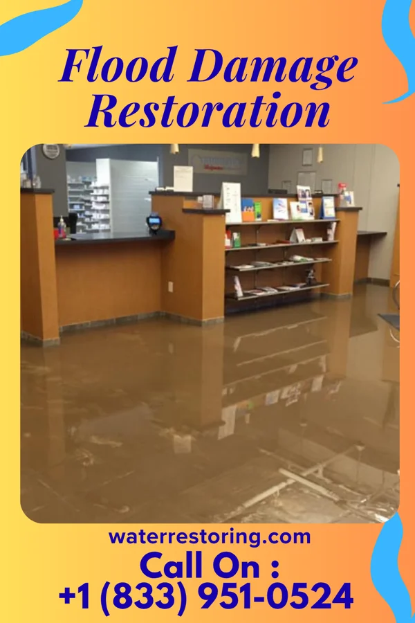 Flood Damage Restoration in Princeton, NJ