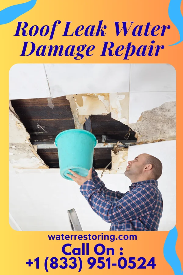 Roof Leak Water Damage Repair in Princeton, NJ