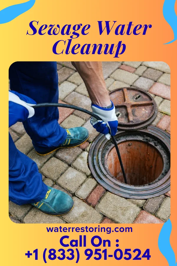 Sewage Water Cleanup in Princeton, NJ